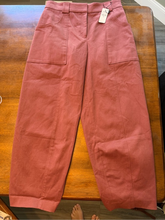 Express Pants - NWT Express Wide-Leg Cargo Chinos in Dusty Rose Size 6R MSRP $88
